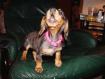 partygirlmissy.jpg - 2782 Bytes