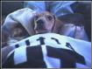 peanut.jpg - 3136 Bytes