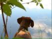 willowlake.jpg - 2796 Bytes