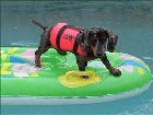 roobyrafting1.jpg - 5813 Bytes